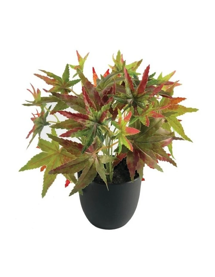 Discount 𧨠Cooper & Co 24cm Artificial Green Maple Plant π 1 Discount 𧨠Cooper & Co 24cm Artificial Green Maple Plant π