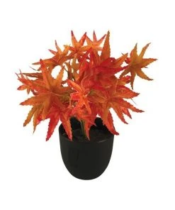 Wholesale 😉 Cooper & Co 24Cm Artificial Red Maple Plant ❤️