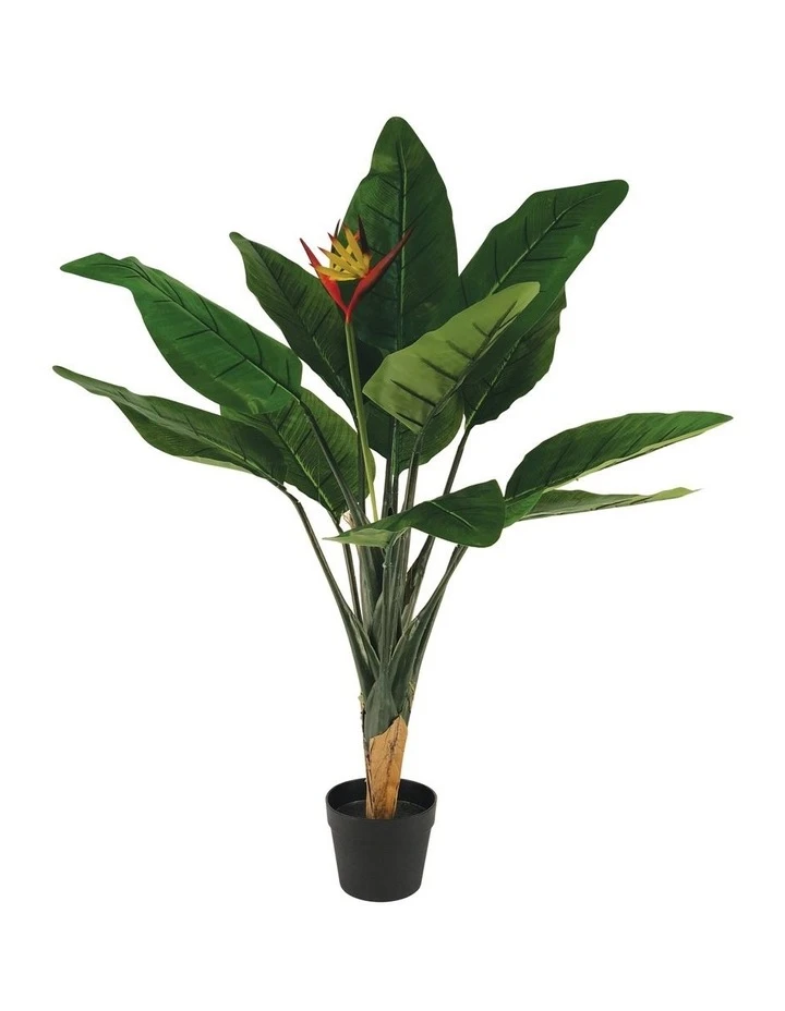 Best reviews of βοΈ Cooper & Co 85Cm Artificial Bird Of Paradise Plant π₯ 1 Best reviews of βοΈ Cooper & Co 85Cm Artificial Bird Of Paradise Plant π₯