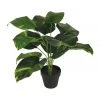 Deals 🌟 Cooper & Co 45Cm Artificial Diefenbachia Plant 😉