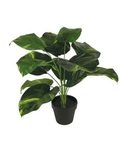 Deals 🌟 Cooper & Co 45Cm Artificial Diefenbachia Plant 😉