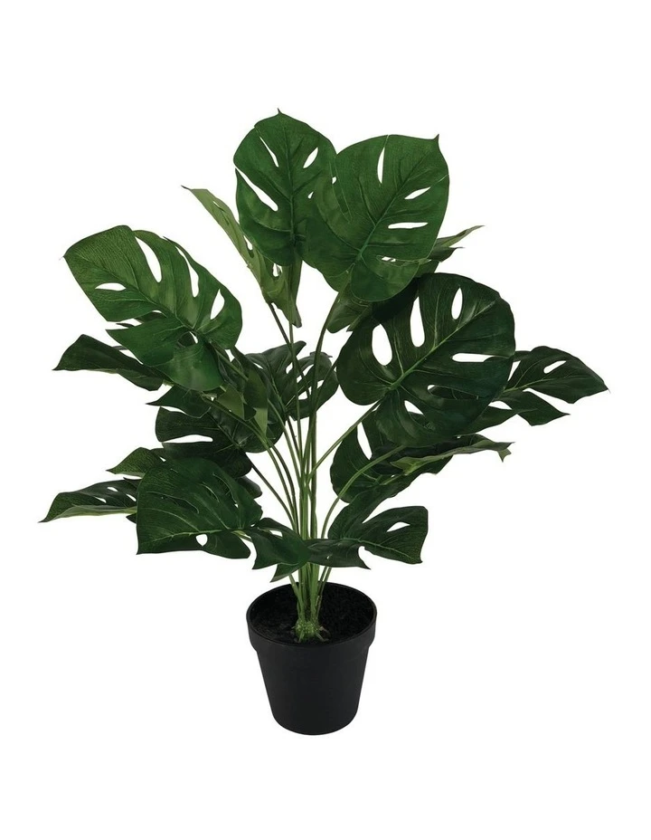 Top 10 π Cooper & Co 60Cm Artificial Monstera Plant Home Decor Faux Plant in Pot Indoor π 1 Top 10 π Cooper & Co 60Cm Artificial Monstera Plant Home Decor Faux Plant in Pot Indoor π