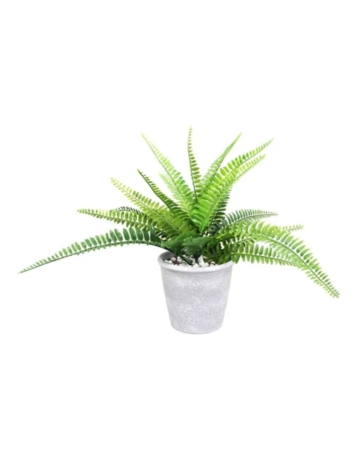 Flash Sale π Cooper & Co 30cm Tall Potted Artificial Boston Fern π 1 Flash Sale π Cooper & Co 30cm Tall Potted Artificial Boston Fern π