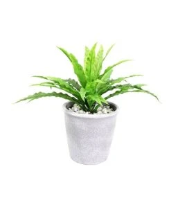 Buy ⌛ Cooper & Co 26cm Tall Potted Artificial Boston Fern 😉