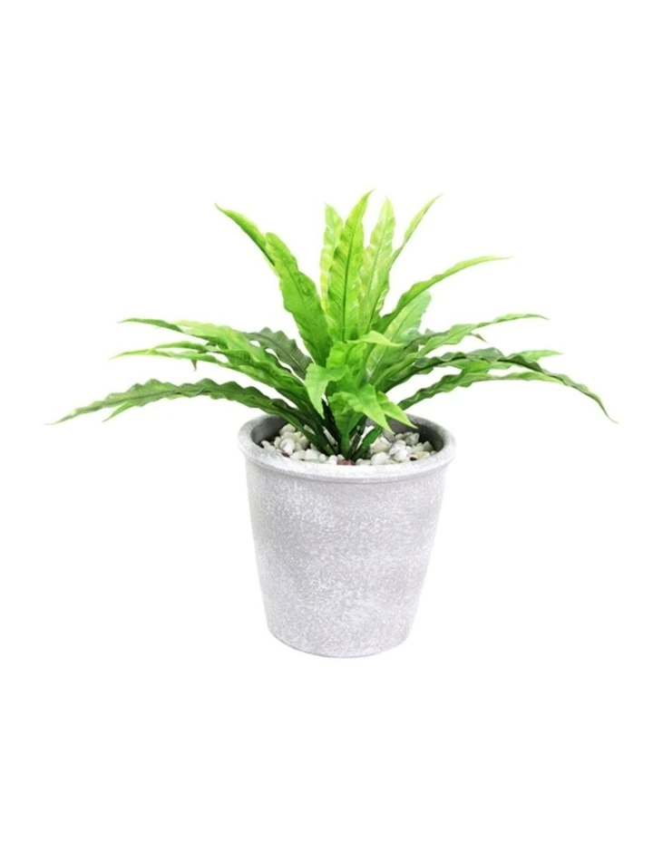 Buy β Cooper & Co 26cm Tall Potted Artificial Boston Fern π 1 Buy β Cooper & Co 26cm Tall Potted Artificial Boston Fern π