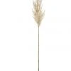 Hot Sale ❤️ Rogue Pampas Grass Spray 83cm Artificial Stem Cream ❤️
