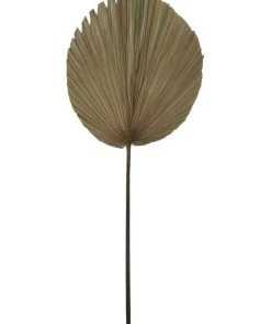 Coupon ⌛ Rogue Dried Cut Fan Palm 90cm Artificial Stem Natural ✔️ -Deals Home Décor Store 769023280 1 1 720x928