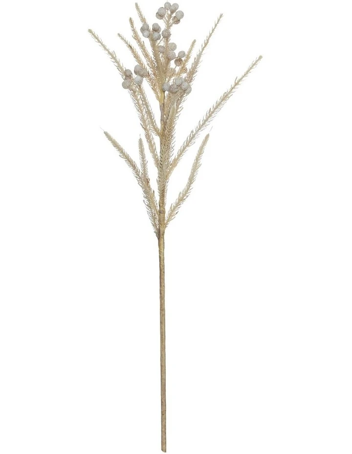 Best reviews of β Rogue Deco Safari Pine π 1 Best reviews of β Rogue Deco Safari Pine π