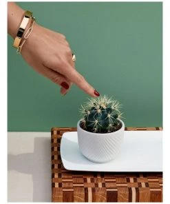 Flash Sale β€οΈ Wedgwood Folia 8cm Mini Pots White π 4 Flash Sale β€οΈ Wedgwood Folia 8cm Mini Pots White π -Deals Home DΓ©cor Store 788218210 2 720x928