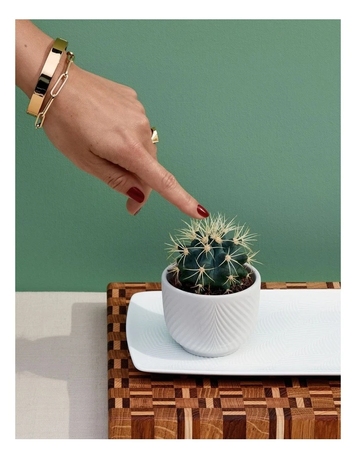 Flash Sale β€οΈ Wedgwood Folia 8cm Mini Pots White π 2 Flash Sale β€οΈ Wedgwood Folia 8cm Mini Pots White π - Image 2