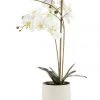 Best reviews of 😉 Cooper & Co 61cm Orchid Potted Artificial Plant ⌛