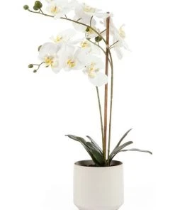 Best reviews of π Cooper & Co 61cm Orchid Potted Artificial Plant β