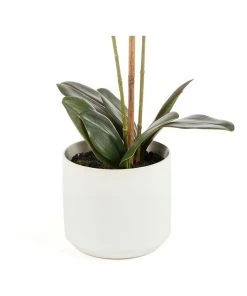 Best reviews of 😉 Cooper & Co 61cm Orchid Potted Artificial Plant ⌛ -Deals Home Décor Store 799372450 4 720x928