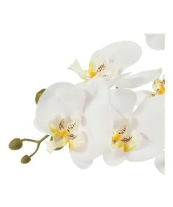 Best reviews of 😉 Cooper & Co 61cm Orchid Potted Artificial Plant ⌛ -Deals Home Décor Store 799372450 5 720x928