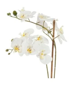 Best reviews of 😉 Cooper & Co 61cm Orchid Potted Artificial Plant ⌛ -Deals Home Décor Store 799372450 6 720x928