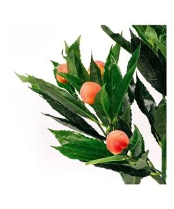 Deals ⭐ Cooper & Co 50cm Artificial Peach Tree 🎉 -Deals Home Décor Store 803746360 3 720x928
