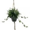 Cheap 🧨 Cooper & Co 90cm Artificial Spider Leaf Hanging Potted Plant 🎁
