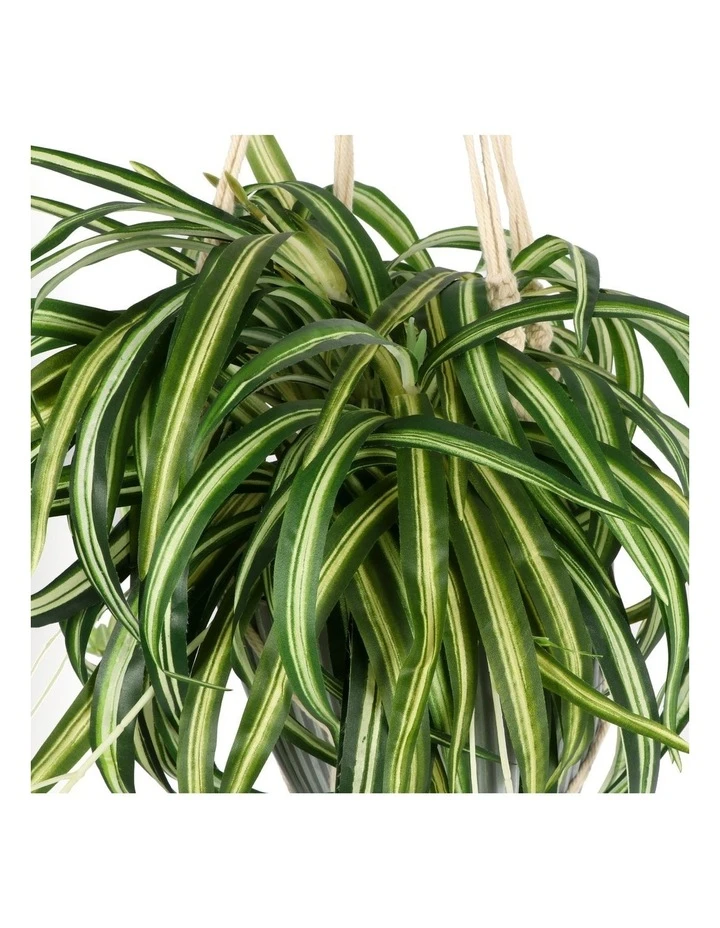 Cheap 𧨠Cooper & Co 90cm Artificial Spider Leaf Hanging Potted Plant π 2 Cheap 𧨠Cooper & Co 90cm Artificial Spider Leaf Hanging Potted Plant π - Image 2