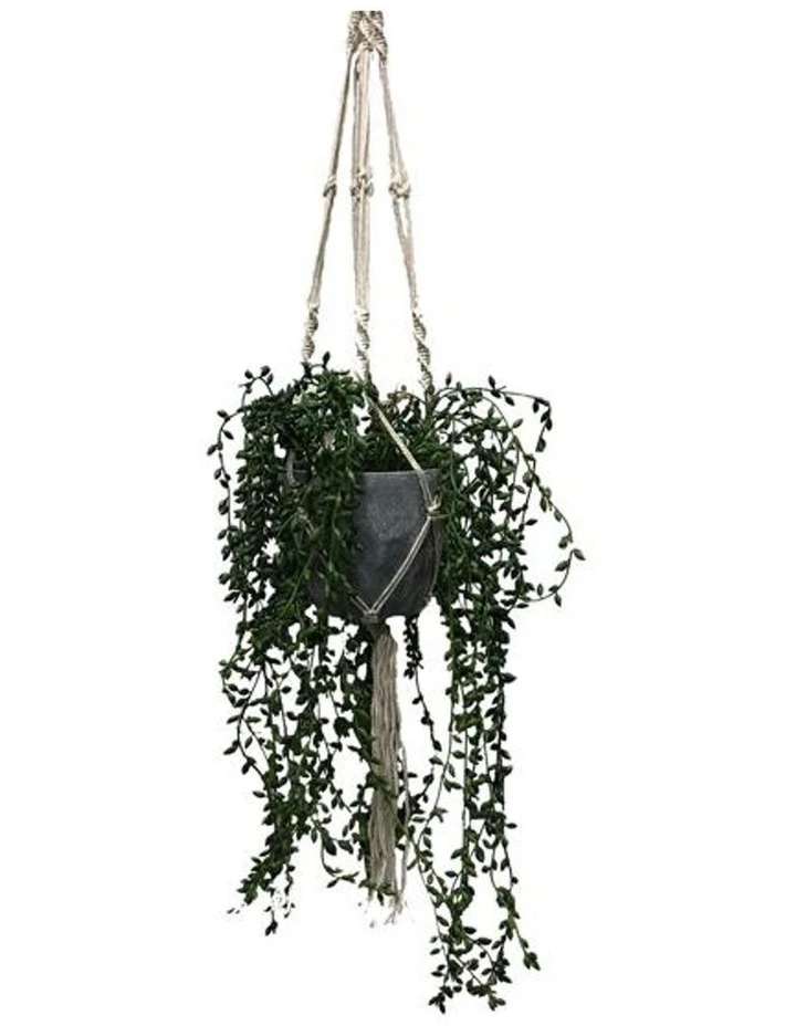 Best Sale 🔥 Cooper & Co 90cm Artificial Pearl Hanging Potted Plant ❤️ 1 Best Sale 🔥 Cooper & Co 90cm Artificial Pearl Hanging Potted Plant ❤️
