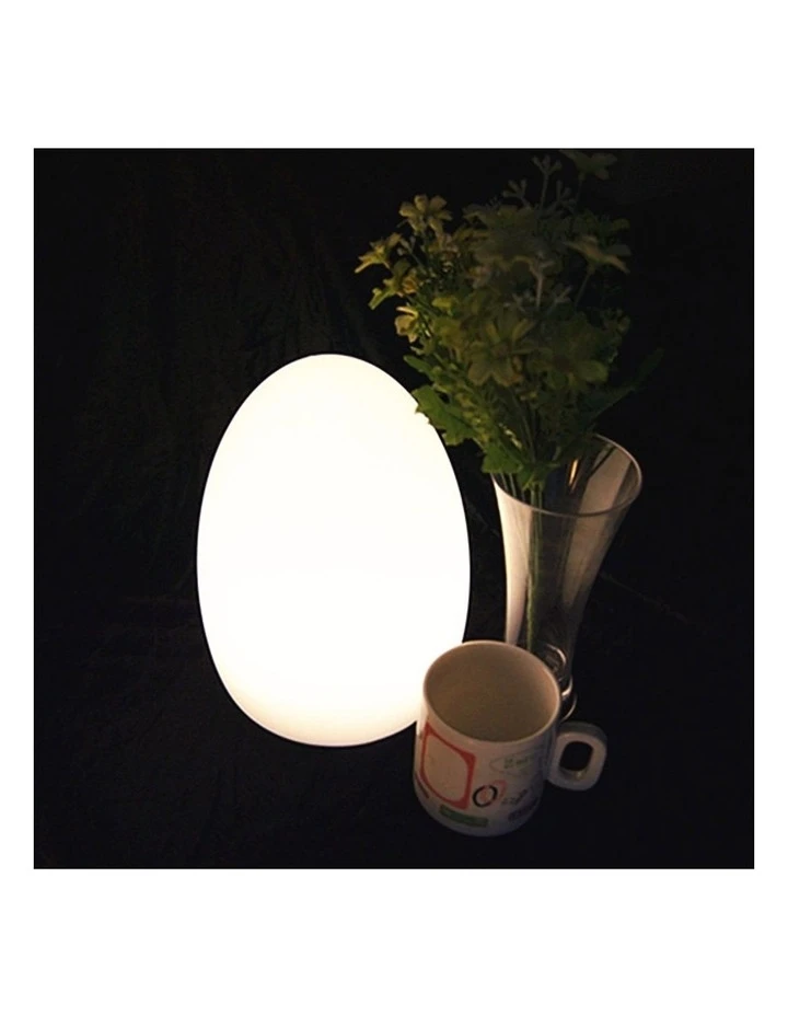 Coupon β€οΈ Lexi Lighting LED Egg Lamp π 3 Coupon β€οΈ Lexi Lighting LED Egg Lamp π - Image 3