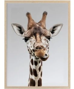 Best Sale ❤️ Urban Road Gerry Print Oak Frame ⌛