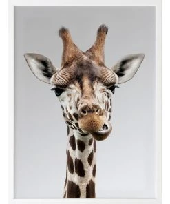 Cheapest 👏 Urban Road Gerry Print White Frame ⌛