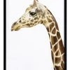 Best Sale 🔔 Urban Road Giraffe I Print Black Frame ✔️