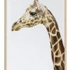 New ✔️ Urban Road Giraffe I Print Oak Frame ⭐