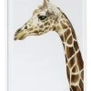 Cheap 🎉 Urban Road Giraffe I Print White Frame 😉