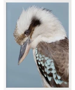 Buy π Urban Road Kookaburra White Frame π
