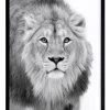 Best Sale ⭐ Urban Road Lion Hunt Print Black Frame 🛒