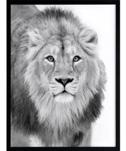 Best Sale ⭐ Urban Road Lion Hunt Print Black Frame 🛒