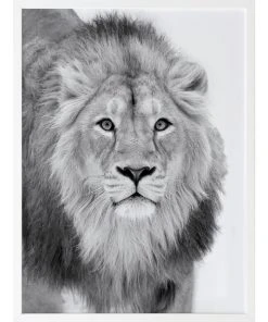 Cheap ⭐ Urban Road Lion Hunt Print White Frame 🛒