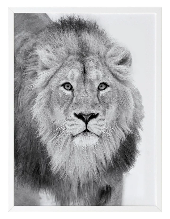 Cheap ⭐ Urban Road Lion Hunt Print White Frame 🛒 1 Cheap ⭐ Urban Road Lion Hunt Print White Frame 🛒