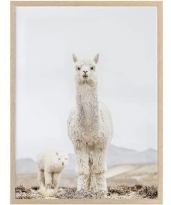 Top 10 ⭐ Urban Road No Drama Llama Oak Frame 💯