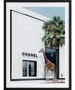 Best deal 😍 Urban Road Rodeo Drive Black Frame 🎁