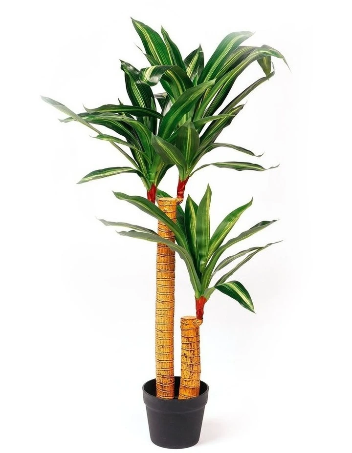 Deals π₯° Cooper & Co. 90cm Artificial Mother In Law Tongue π 1 Deals π₯° Cooper & Co. 90cm Artificial Mother In Law Tongue π