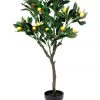 Discount 😍 Cooper & Co. 90cm Artificial Lemon Tree ✔️