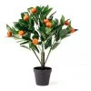 Best Sale 🥰 Cooper & Co. 50cm Faux Orange Tree 🔥