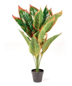 Budget 😍 Cooper & Co. 65cm Faux Dieffenbachia 😀