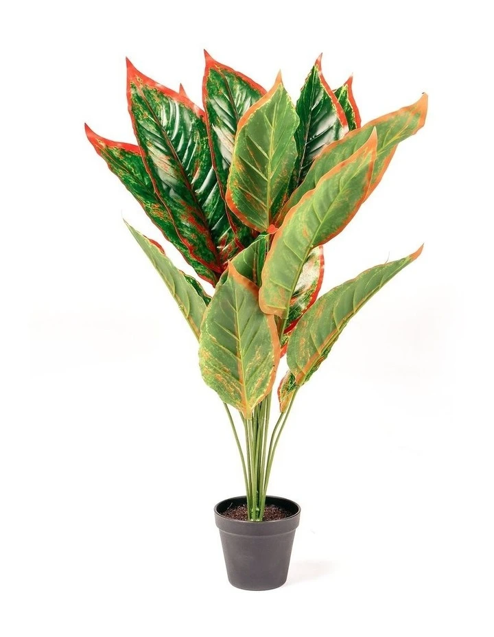 Budget π Cooper & Co. 65cm Faux Dieffenbachia π 1 Budget π Cooper & Co. 65cm Faux Dieffenbachia π