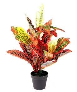 Best reviews of 👏 Cooper & Co. 55cm Faux Banyan ⭐