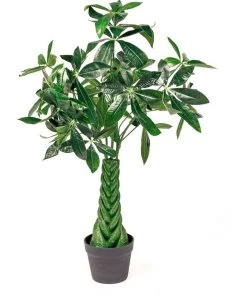 Cheap ⌛ Cooper & Co 175cm Artificial Maple Tree 🥰