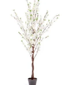 Best Sale π₯° Cooper & Co 120cm Artificial Cherry Blossom Tree π 11 Best Sale π₯° Cooper & Co 120cm Artificial Cherry Blossom Tree π -Deals Home DΓ©cor Store 811973350 1 1 720x928