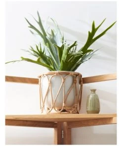 Discount 😍 Madras Link Wembley White Planter Set ❤️ -Deals Home Décor Store 816220000 4 720x928