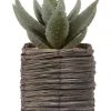 Budget 😉 Cooper & Co 29cm Aloe Vera Artificial Plant In Basket ✔️