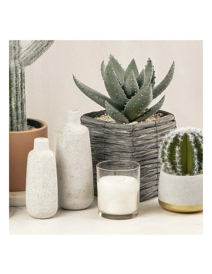 Budget π Cooper & Co 29cm Aloe Vera Artificial Plant In Basket βοΈ 2 Budget π Cooper & Co 29cm Aloe Vera Artificial Plant In Basket βοΈ - Image 2