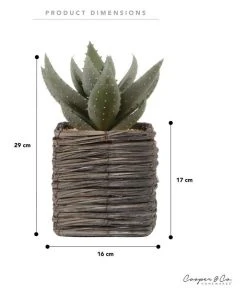Budget π Cooper & Co 29cm Aloe Vera Artificial Plant In Basket βοΈ 8 Budget π Cooper & Co 29cm Aloe Vera Artificial Plant In Basket βοΈ -Deals Home DΓ©cor Store 827668180 3 720x928