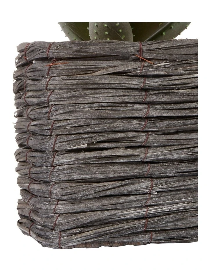 Budget π Cooper & Co 29cm Aloe Vera Artificial Plant In Basket βοΈ 4 Budget π Cooper & Co 29cm Aloe Vera Artificial Plant In Basket βοΈ - Image 4