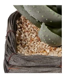 Budget π Cooper & Co 29cm Aloe Vera Artificial Plant In Basket βοΈ 10 Budget π Cooper & Co 29cm Aloe Vera Artificial Plant In Basket βοΈ -Deals Home DΓ©cor Store 827668180 5 720x928
